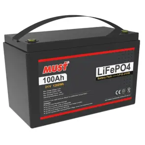 Аккумулятор LiFePo4 - LFP15-24100 (24V, 100Ah) MUST №1