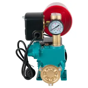 Станция 0.37кВт Hmax 32м Qmax 40л/мин (вихревой насос) 1л AQUATICA AUTOGPa125ZA №8