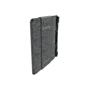 Сонячна панель ECOFLOW 60w Solar Panel TYPE-C (EcoFlow) №1