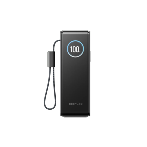 Павербанк EcoFlow RAPID Power Bank з кабелями 25000mAh сріблястий №2