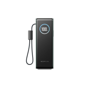 Павербанк EcoFlow RAPID Power Bank з кабелями 25000mAh зелений №2