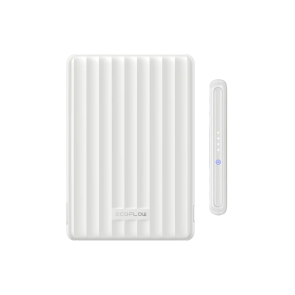 Повербанк восстановлен EcoFlow RAPID Mag Power Bank 5000mAh белый №2