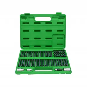Профессиональный набор бит TORX, HEX, SPLINE, RIBE, SQ 60ед. TOPTUL GCAI6003 №1