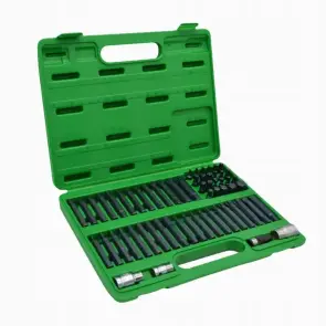Профессиональный набор бит TORX, HEX, SPLINE, RIBE, SQ 60ед. TOPTUL GCAI6003 №2