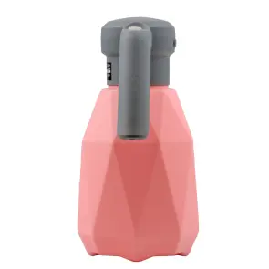 Обприскувач акумуляторний 2л Li-ion FLORA (5002554) №7