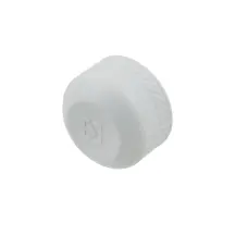 Заглушка PPR Raftec 20 мм REC20