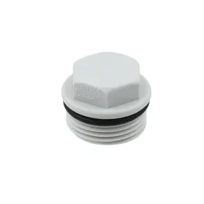 Заглушка PPR НН Raftec 1" RP03 №2