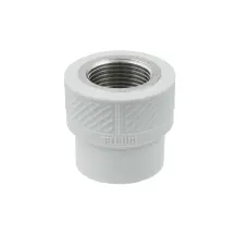 Муфта PPR Raftec 32мм ВВ 1" RFC3203