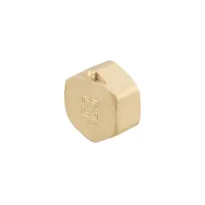 Заглушка Raftec GOLD під пломбу ВВ 3/4" №1