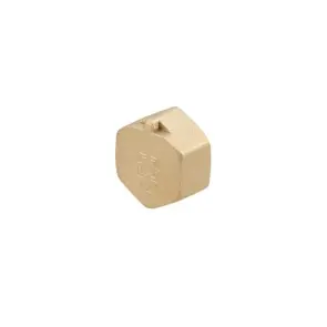 Заглушка Raftec GOLD під пломбу ВВ 1/2" №1