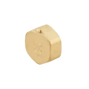 Заглушка Raftec GOLD под пломбу ВВ 1" №1