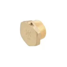 Заглушка Raftec GOLD под пломбу ЗЗ 3/4"