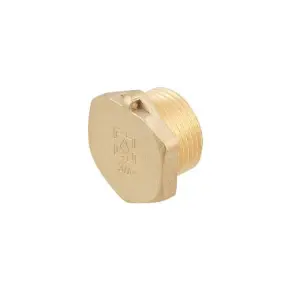 Заглушка Raftec GOLD під пломбу ЗЗ 3/4" №1