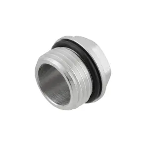 Заглушка для коллектора с уплотнителем Raftec 3/4" SZN02 №2