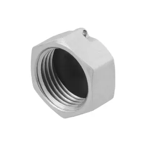 Заглушка для коллектора с уплотнителем Raftec 3/4" SZV02 №2