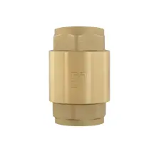 Обратный клапан для воды Raftec EUROPE DN25 1" NRVF03