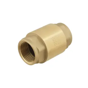 Обратный клапан для воды Raftec EUROPE DN25 1" NRVF03 №2