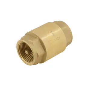 Обратный клапан для воды Raftec EUROPE DN25 1" NRVF03 №4