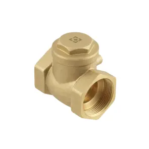 Зворотний клапан пелюстковий Raftec ВВ 1 1/2" №1