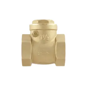 Зворотний клапан пелюстковий Raftec ВВ 1 1/2" №3