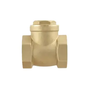 Зворотний клапан пелюстковий Raftec ВВ 1 1/2" №4