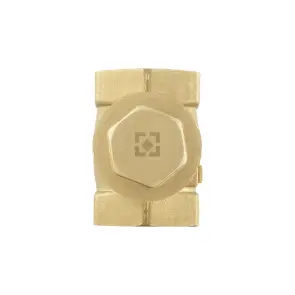 Зворотний клапан пелюстковий Raftec ВВ 1 1/2" №5