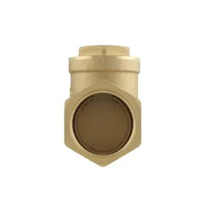 Зворотний клапан пелюстковий Raftec ВВ 1 1/2" №6