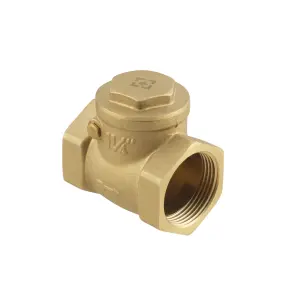Зворотний клапан пелюстковий Raftec ВВ 1 1/4" №1