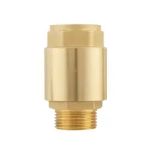 Клапан зворотнього ходу Raftec EUROPE DN25 1" NRVM03