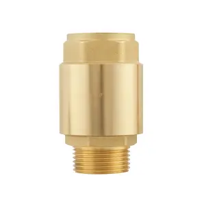 Клапан обратного хода Raftec EUROPE DN25 1" NRVM03 №1
