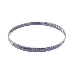 Стрічкове пильне полотно Scheppach 1400x6,4x0,35 мм x 6TPI №1