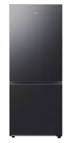 Холодильник Samsung RB50DG601EB1UA №1