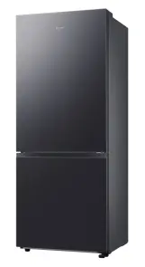 Холодильник Samsung RB50DG601EB1UA №2