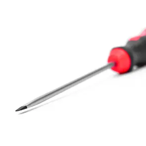 Викрутка шліцева, SL, 100X4,0X0,8 mm, RED STRIPE №6