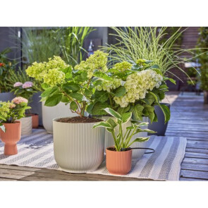 Комплект для полива Gardena Micro-Drip-System Terrace Set на 30 растений (13400-20.000.00) №4