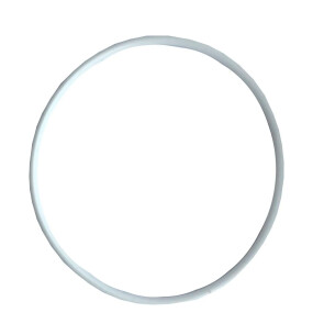 Уплотнительное кольцо на прозрачную колбу SL20TS-BB Big Blue 10/20" №1