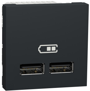 Розетка USB 2.0 зарядна подвійна, 2.4А, A+C, 2 модуля, антрацит, Unica NEW NU301854 №1
