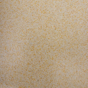 Гранітна мийка для кухні PLATINUM 7950 EQUATORIA глянець Пісок №3