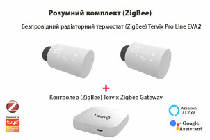 Комплект Tervix Pro Line EVA2 (2 шт.) + контролер Tervix ZigBee Gateway №1