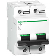 Автоматичний вимикач C120N 2P 100A B Schneider Electric A9N18346