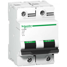 Автоматичний вимикач C120N 2P 80A C Schneider Electric A9N18361